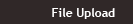 file upload