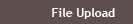 file upload